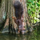 FFFK 19 Werner Matzke