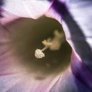 FFFK 20 Bernhard Ressel