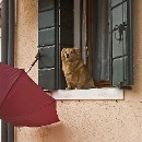 FFFK 34 Barbara Giersch