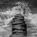 15 LF Kronau 18 Emrich Marita