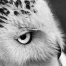 38 LF Kronau 45 Lisske Lea Jugend