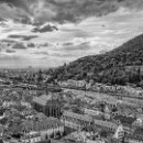 43 LF Kronau 54 Lisske Stefanie