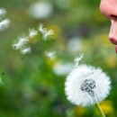 FFC Ketsch Gert Winkler 01