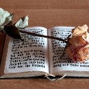 FFC Ketsch Karl Hofmann 02