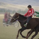 Reflex 82 Meckes 21 Joerg Steigleder