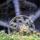 Reflex 82 Meckes 26 Siegbert Luksch