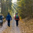 FC Sinsheim 02 Robert Mueller