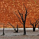 Thema 2 FG Sandhausen 03 Laub Harry