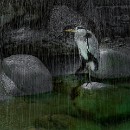 Thema 2 FG Sandhausen 04 Ziegler Peter