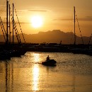 Thema 2 Reflex82 Meckesheim 02 Alexander Ruis