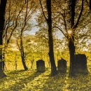 FC Sinsheim Gross TimOliver 02.jpg