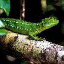 FC Sinsheim Mueller Robert 05.jpg