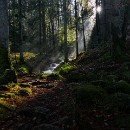 FG Sandhausen Achtstaetter Thomas 05