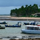 21 Treiber-Kloetzer Christa