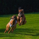 FG Sandhausen 21 Achtstaetter Thomas 03