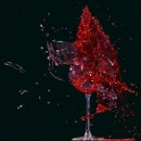 Fotogruppe Edingen Neckerhausen 07