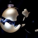 Fotogruppe Edingen Neckerhausen 10