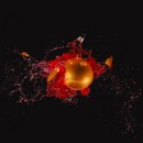 Fotogruppe Edingen Neckerhausen 11