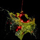 Fotogruppe Edingen Neckerhausen 12