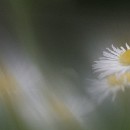 Fototreff Rhein Neckar Teamarbeit 08