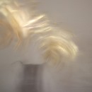 Fototreff Rhein Neckar Teamarbeit 09