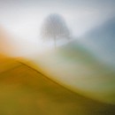 Fotozirkel Mannheim Gruehn Stauber Kirstin 19