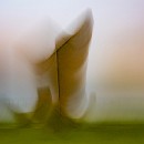 Fotozirkel Mannheim Gruehn Stauber Kirstin 20