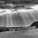 Reflex Meckesheim Popp Gerd 02