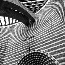 FG Sandhausen Laub Harry 11