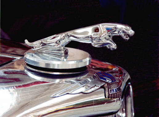 Gorzitze_Wolfgang_01