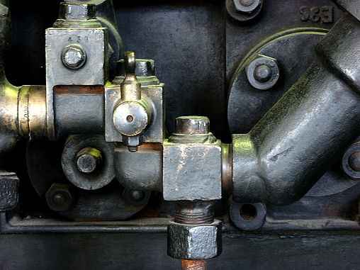 13_Wolfgang_Gorzitze