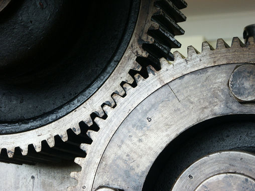 16_Wolfgang_Gorzitze